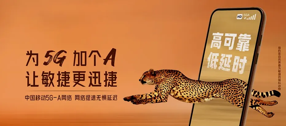梅县区梅县区雁洋镇 移动宽带